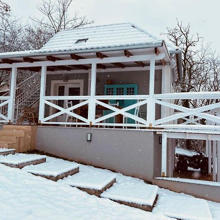 Dandelion "Zsalya" Vendeghaz Villa Kisapati Buitenkant foto